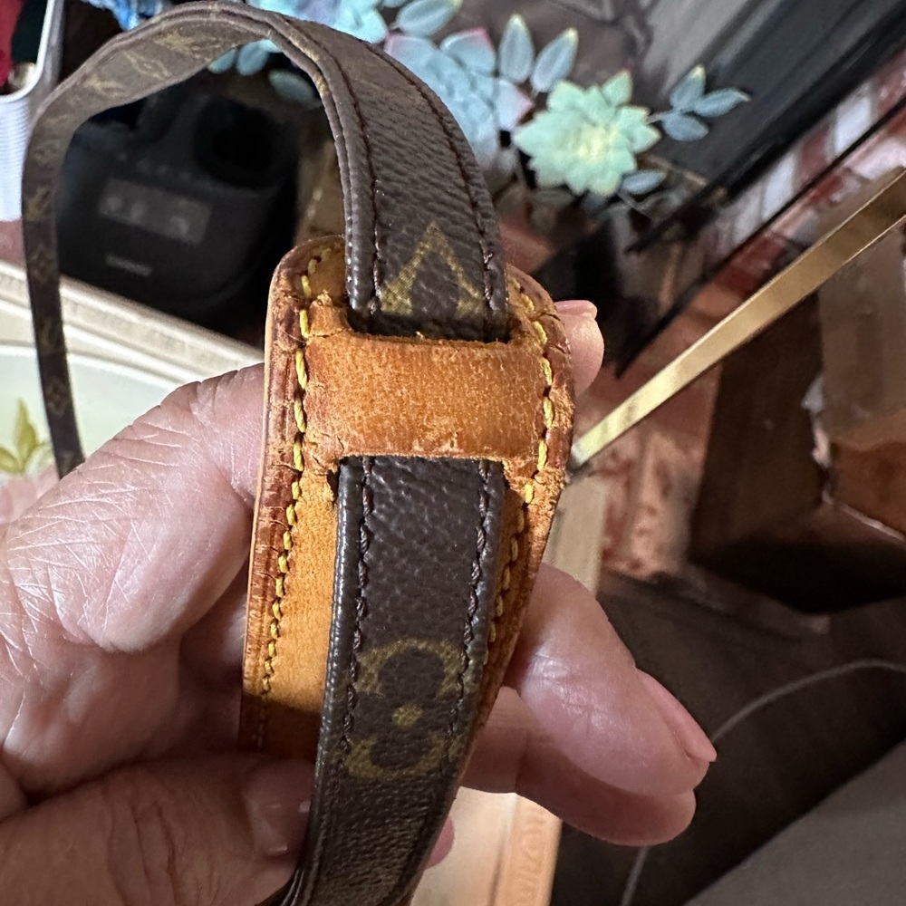 Louis Vuitton Monogram Amazone‎ Crossbody Bag - Picture 4 of 15